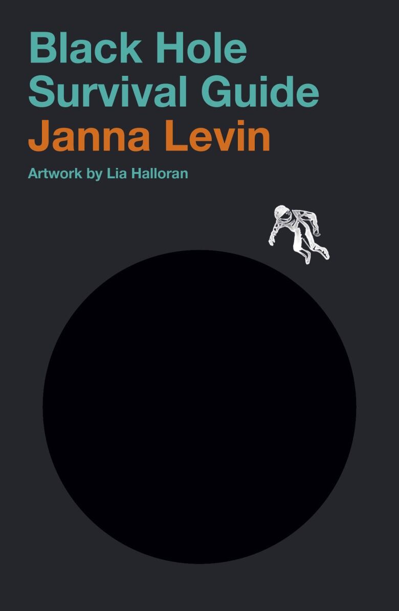 Black Hole Survival Guide book cover
